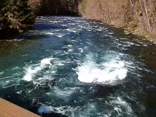 McKenzie River at Belknap Hot Springs